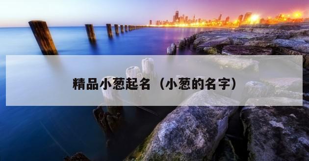 精品小葱起名（小葱的名字）