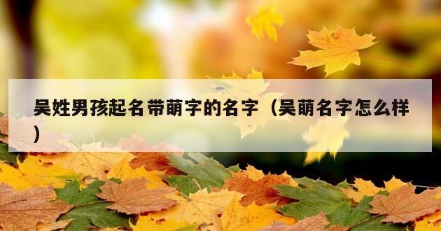 吴姓男孩起名带萌字的名字（吴萌名字怎么样）