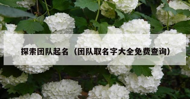 探索团队起名（团队取名字大全免费查询）