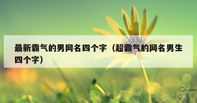 最新霸气的男网名四个字（超霸气的网名男生四个字）