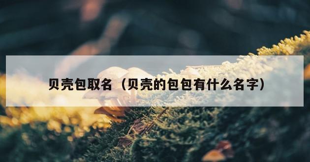 贝壳包取名（贝壳的包包有什么名字）