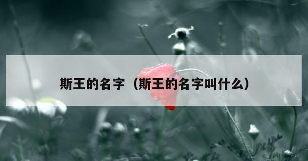 斯王的名字（斯王的名字叫什么）