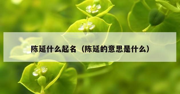 陈延什么起名（陈延的意思是什么）