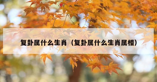 复卦属什么生肖（复卦属什么生肖属相）