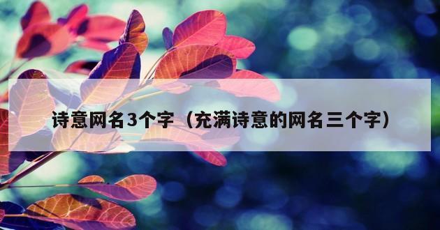 诗意网名3个字（充满诗意的网名三个字）