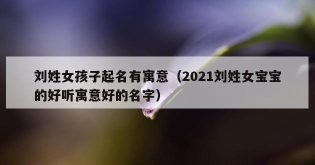 刘姓女孩子起名有寓意（2021刘姓女宝宝的好听寓意好的名字）