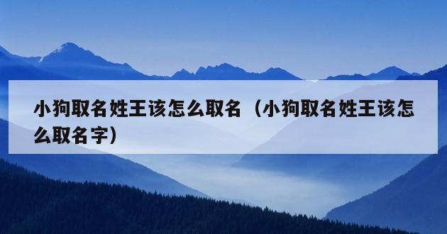 小狗取名姓王该怎么取名（小狗取名姓王该怎么取名字）