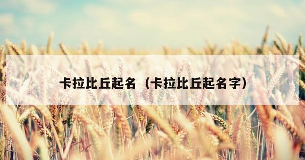 卡拉比丘起名（卡拉比丘起名字）