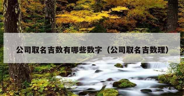 公司取名吉数有哪些数字（公司取名吉数理）