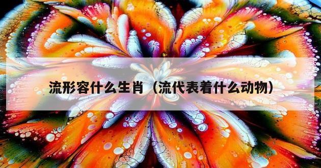 流形容什么生肖（流代表着什么动物）