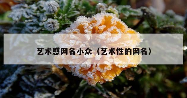 艺术感网名小众（艺术性的网名）