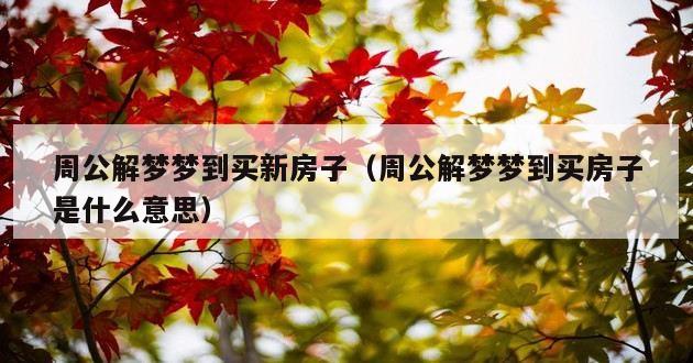 周公解梦梦到买新房子（周公解梦梦到买房子是什么意思）