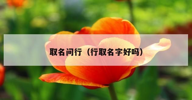 取名问行（行取名字好吗）