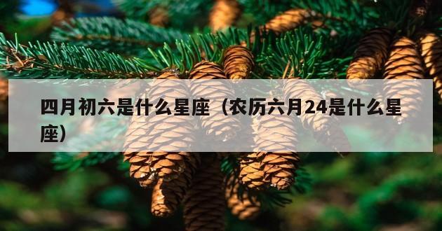 四月初六是什么星座（农历六月24是什么星座）