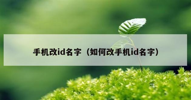 手机改id名字（如何改手机id名字）