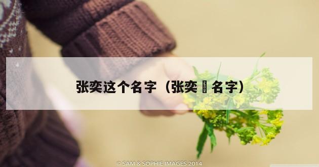 张奕这个名字（张奕芃名字）