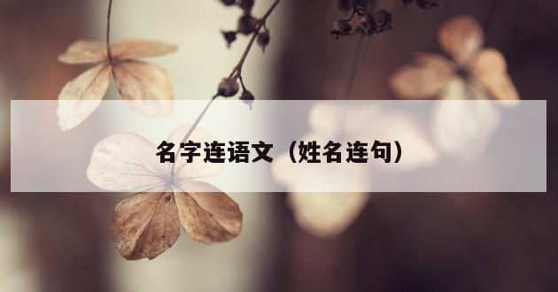 名字连语文（姓名连句）