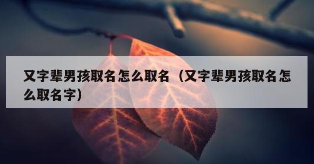 又字辈男孩取名怎么取名（又字辈男孩取名怎么取名字）