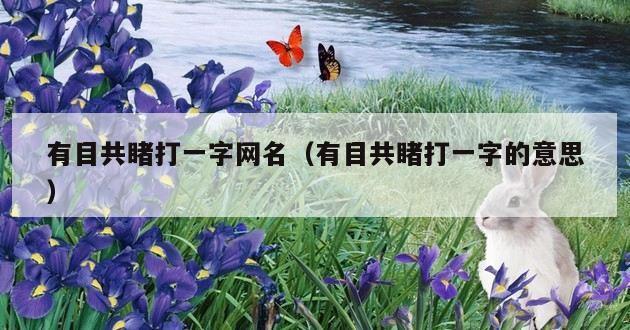 有目共睹打一字网名（有目共睹打一字的意思）