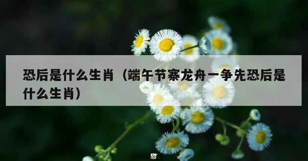 恐后是什么生肖（端午节寨龙舟一争先恐后是什么生肖）