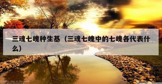 三魂七魄种生基（三魂七魄中的七魄各代表什么）