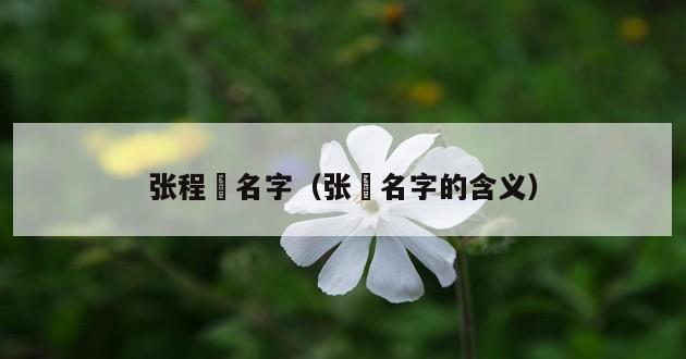 张程喆名字（张喆名字的含义）