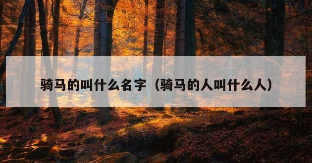 骑马的叫什么名字（骑马的人叫什么人）