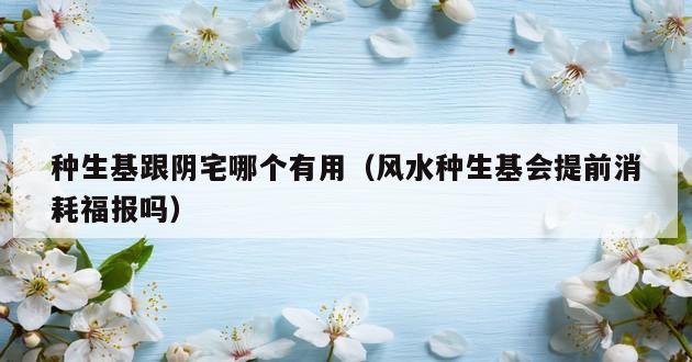 种生基跟阴宅哪个有用（风水种生基会提前消耗福报吗）