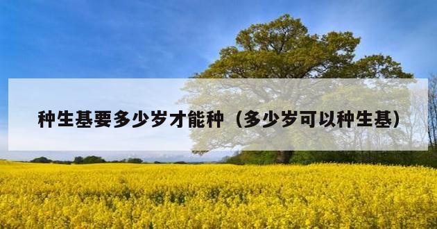 种生基要多少岁才能种（多少岁可以种生基）