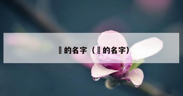 淓的名字（萳的名字）