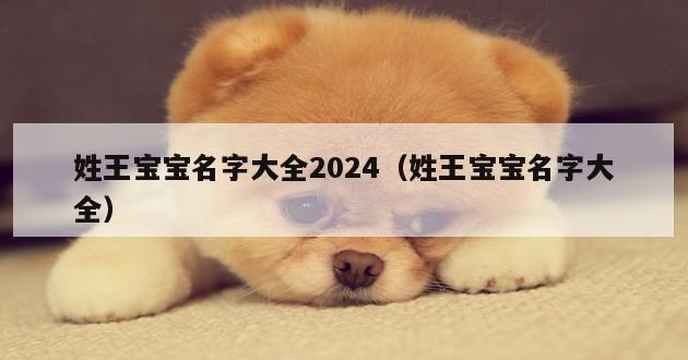 姓王宝宝名字大全2024（姓王宝宝名字大全）