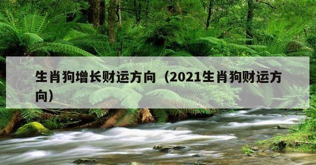 生肖狗增长财运方向（2021生肖狗财运方向）