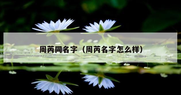 周芮同名字（周芮名字怎么样）