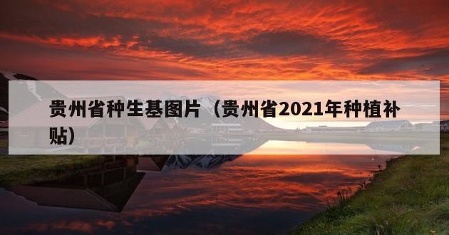 贵州省种生基图片（贵州省2021年种植补贴）