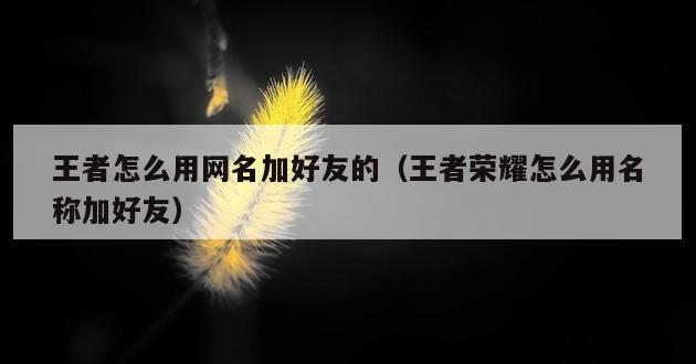 王者怎么用网名加好友的（王者荣耀怎么用名称加好友）