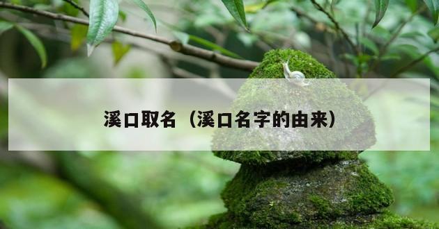 溪口取名（溪口名字的由来）