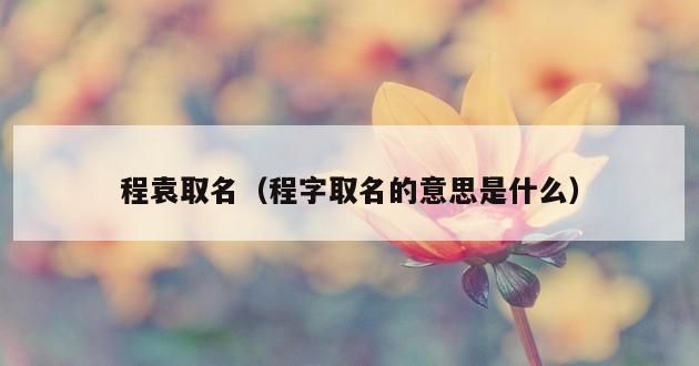 程袁取名（程字取名的意思是什么）