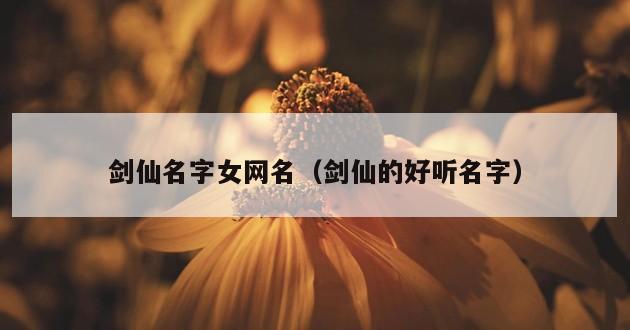 剑仙名字女网名（剑仙的好听名字）