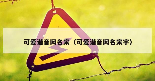 可爱谐音网名宋（可爱谐音网名宋字）