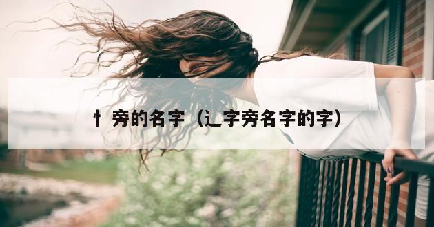 忄旁的名字（辶字旁名字的字）