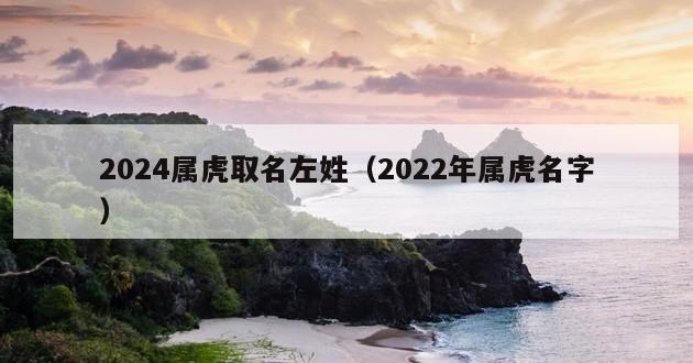 2024属虎取名左姓（2022年属虎名字）