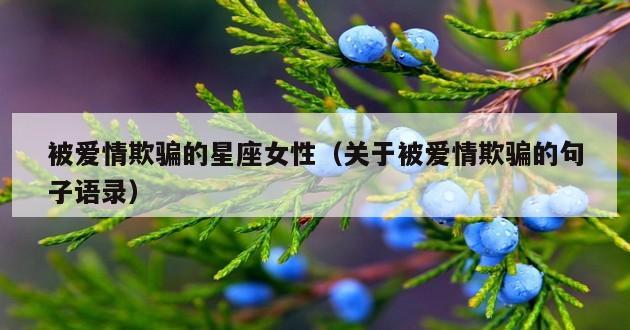 被爱情欺骗的星座女性（关于被爱情欺骗的句子语录）