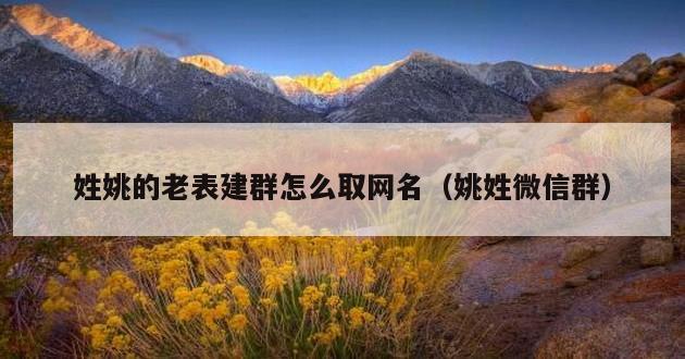 姓姚的老表建群怎么取网名（姚姓微信群）