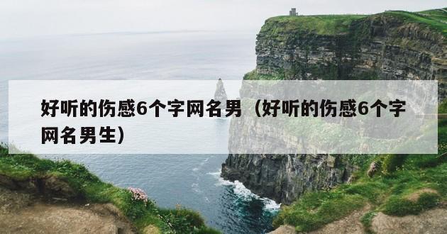 好听的伤感6个字网名男（好听的伤感6个字网名男生）