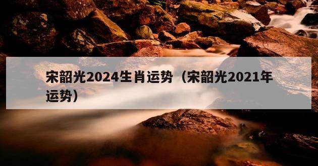 宋韶光2024生肖运势（宋韶光2021年运势）