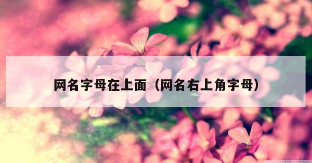 网名字母在上面（网名右上角字母）