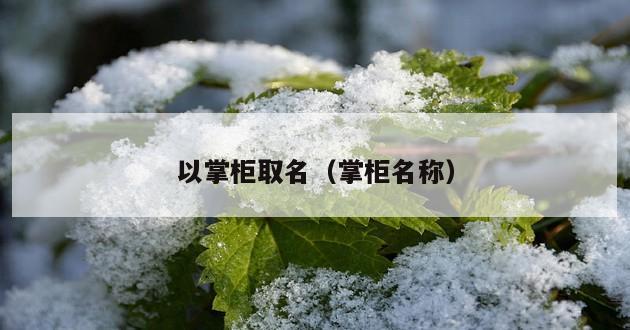 以掌柜取名（掌柜名称）