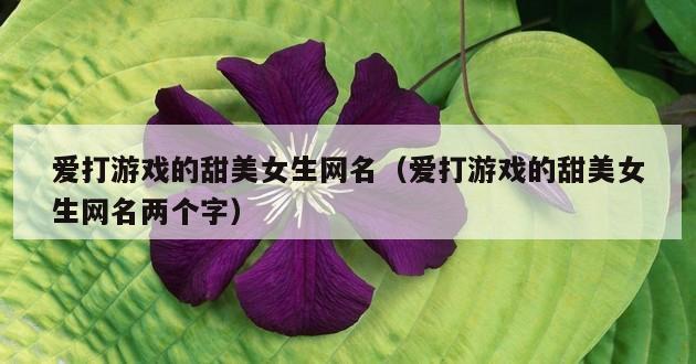 爱打游戏的甜美女生网名（爱打游戏的甜美女生网名两个字）