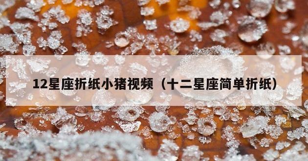 12星座折纸小猪视频（十二星座简单折纸）