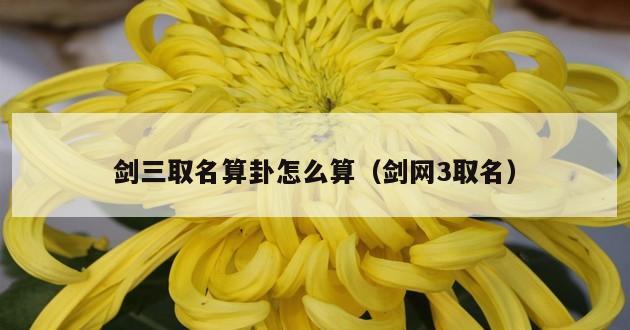 剑三取名算卦怎么算（剑网3取名）